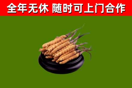 夏邑县烟酒回收冬虫夏草.jpg